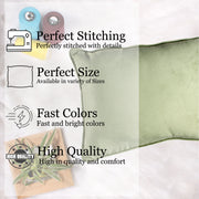 Velvet Cushion Cover With Piping - Perfect for Home Décor Rectangular Set of 2 ,Mehndi